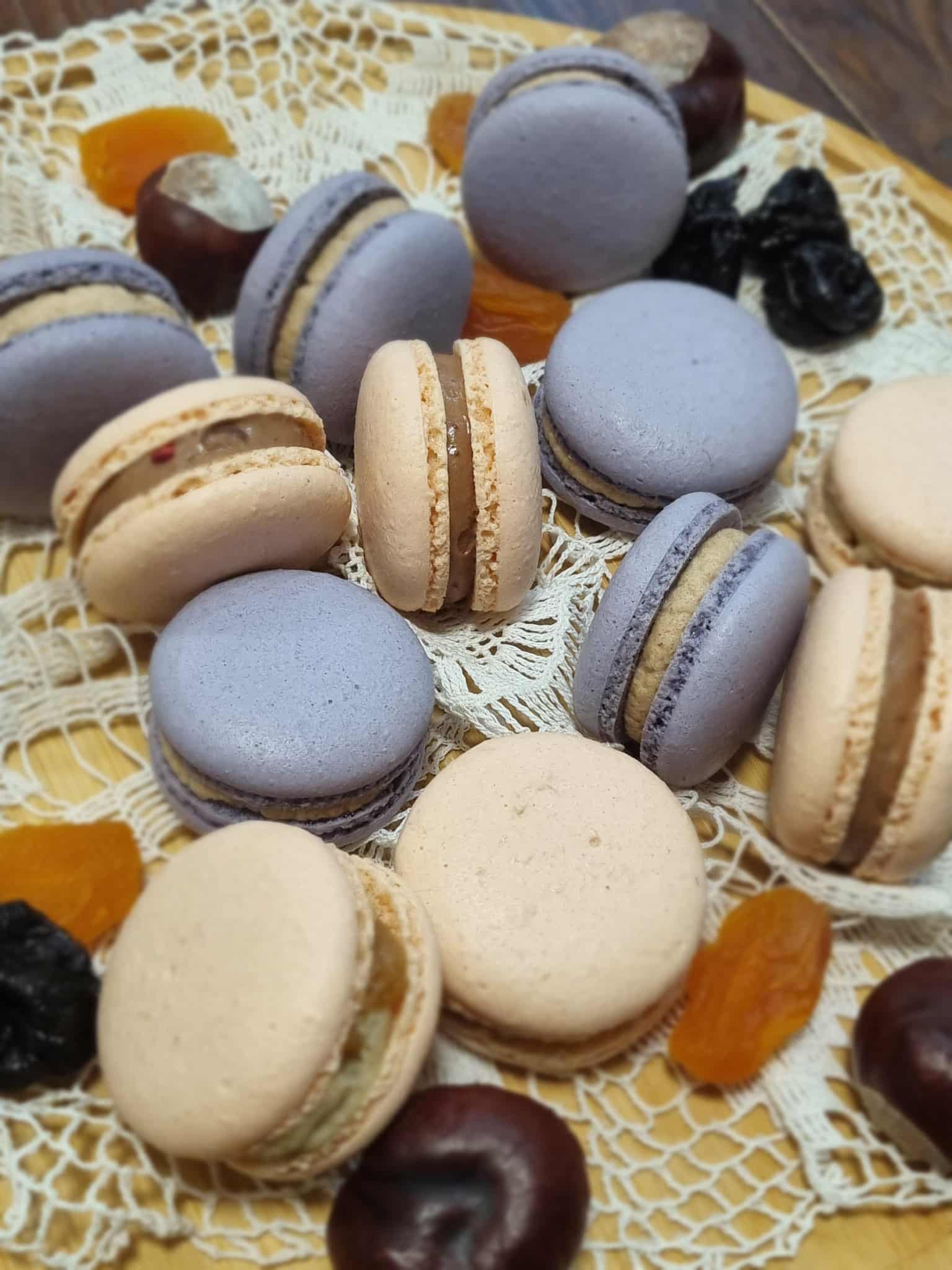 Pitypang macaronok